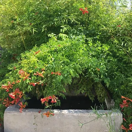 Apartment Samadhi En Pierre Mane (Alpes-de-Haute-Provence)
